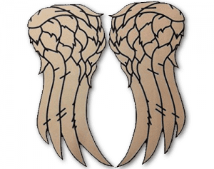 daryl dixon wings
