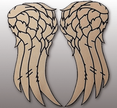 Daryl Dixon wings