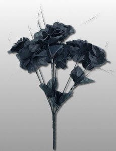 Morticia Addams Costume