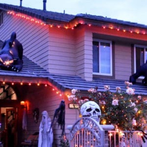 animated inflatable cat