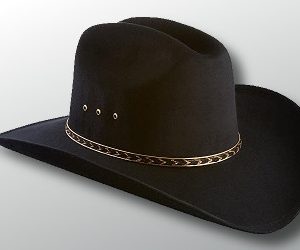 Buford Tannen Costume