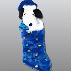 top 40 Christmas Stocking