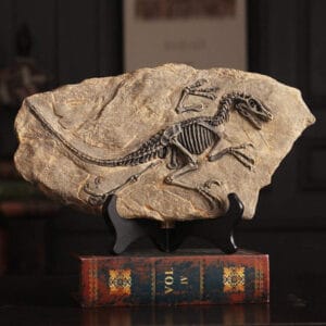 top skeletons